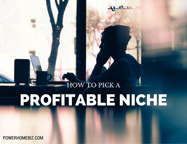 How to pick a profitable niche