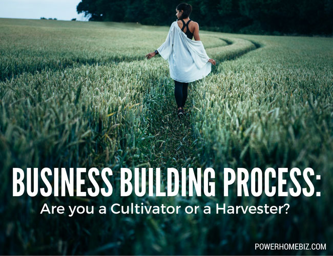 Business building process: Are you a Cultivator or a Harvester