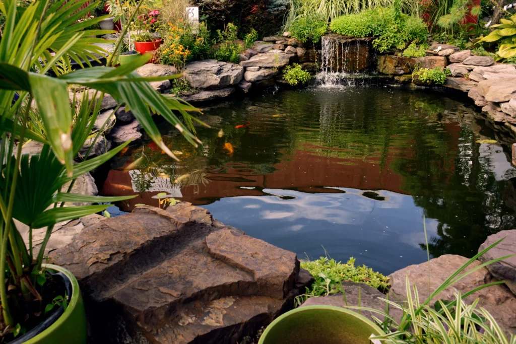 pond building
