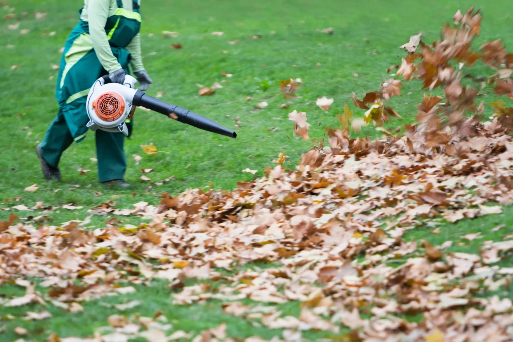 fall leaf removal as one of the additional services by lawncare and landscaping businesses