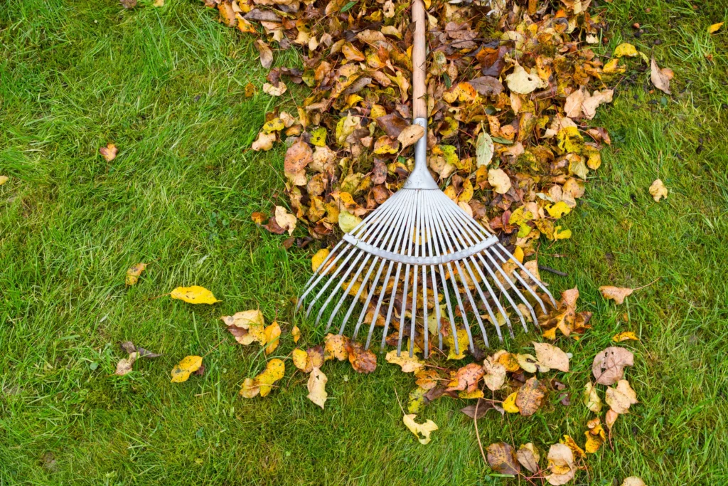 Pricing Your Lawncare and Landscaping Services