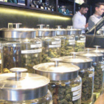 4 Ideas for a Cannabis Small Business