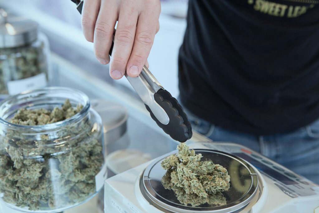cannabis dispensary