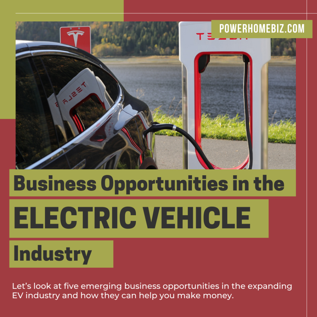 Emerging Business Opportunities in the Electric Vehicle Industry