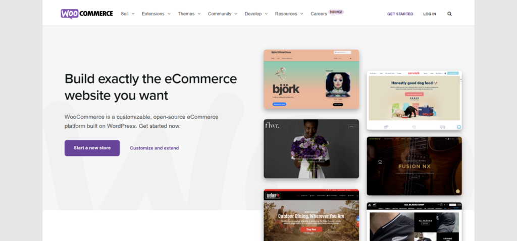 woocommerce store