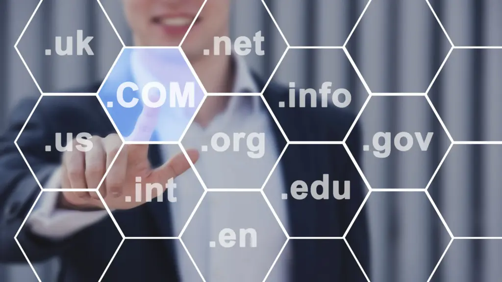 domain names