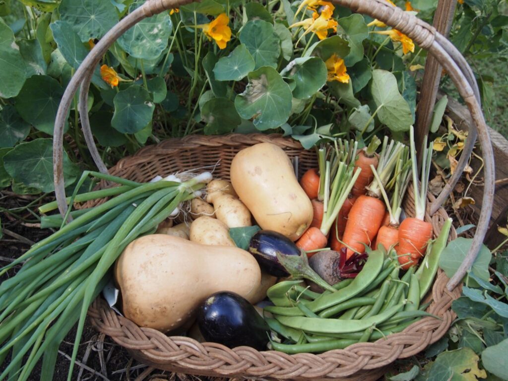 eco-tourism organic vegetables