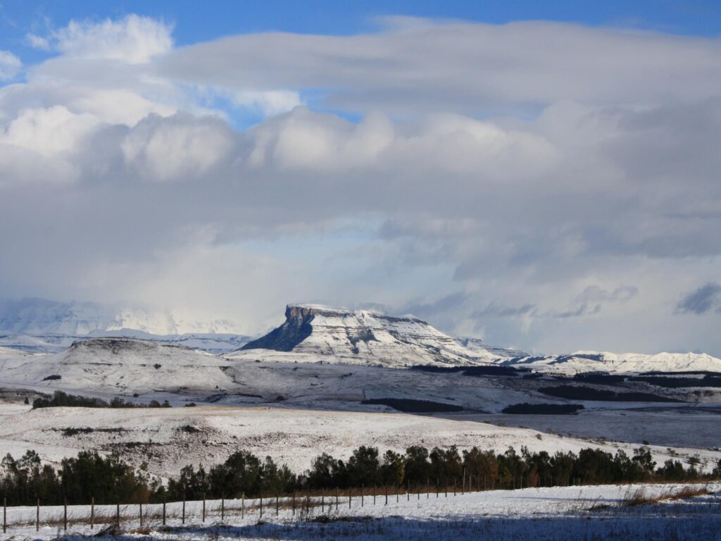eco-tourism View of snowy mountains from Antbear eco Lodge