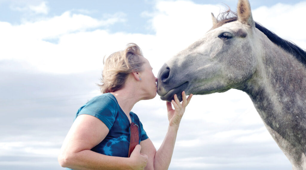 eco-tourism Antbear eco Lodge