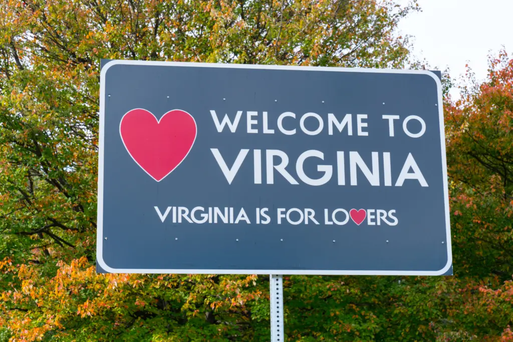 supporting local businesses in Virginia
