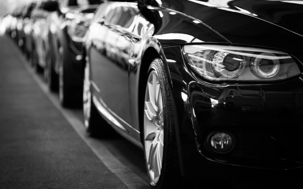 vehicle fleet rental car business