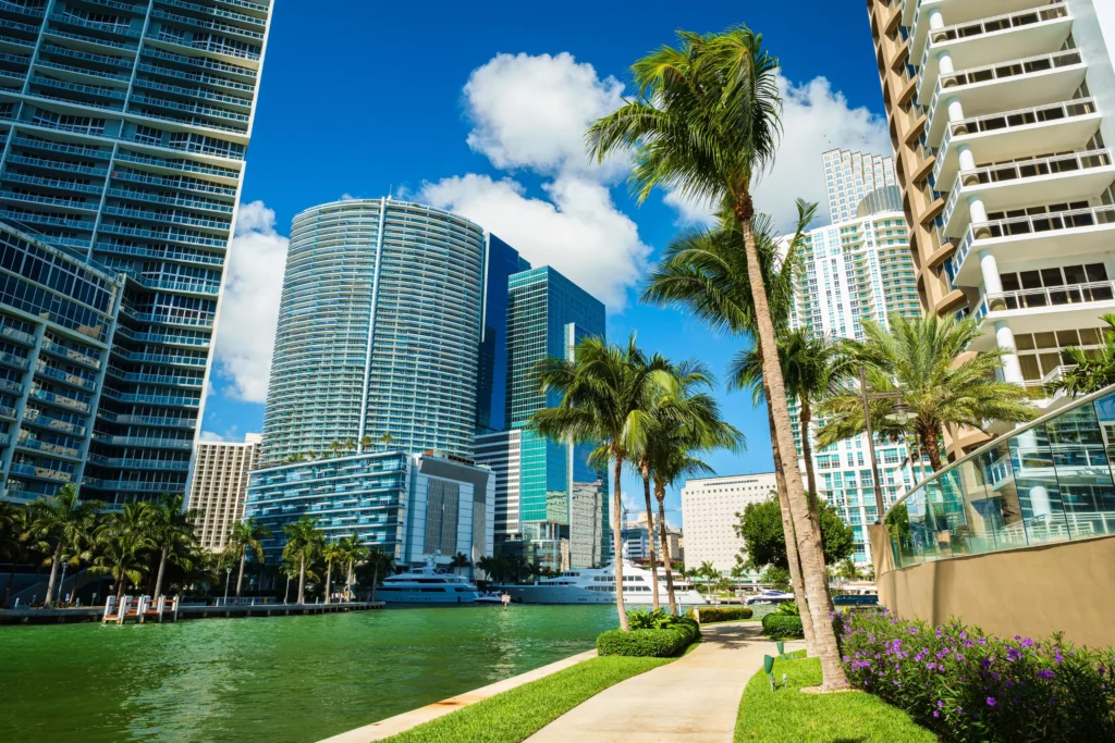 Thriving in Miami: How Startups Can Overcome Local Challenges
