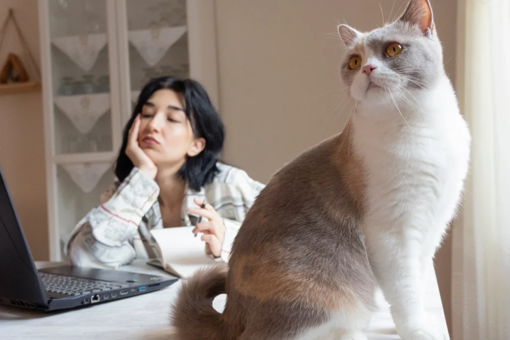 work from home stagnant