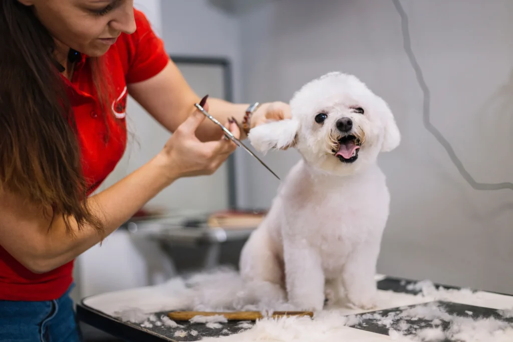 how to start a dog grooming business