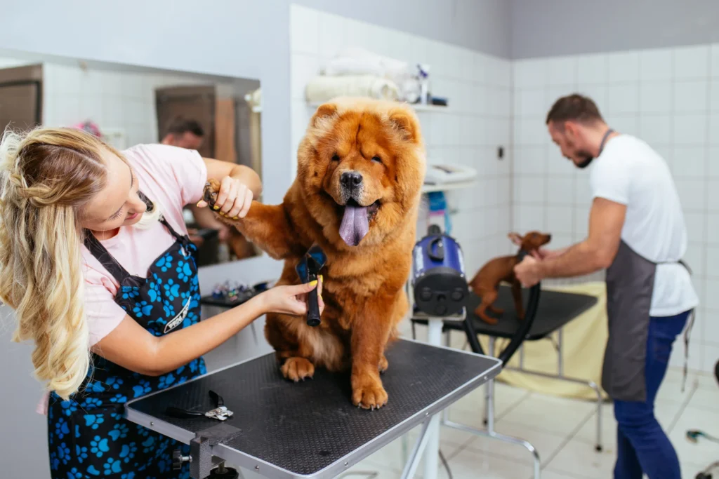 how to start a dog grooming business
