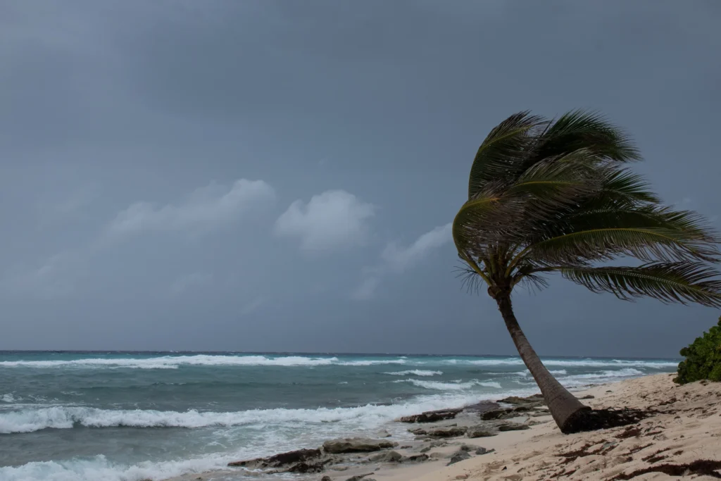 hurricane insurance claims