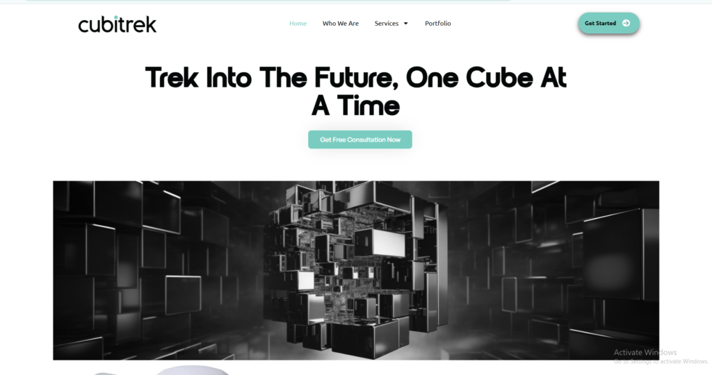 Cubitrek: top web development company in the US