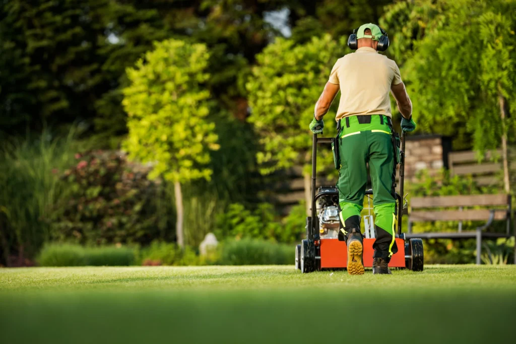 lawncare and landscaping business