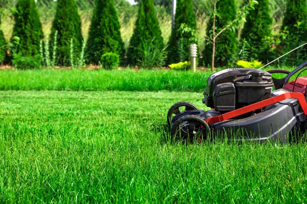 lawn mower used in lawncare and landscaping business