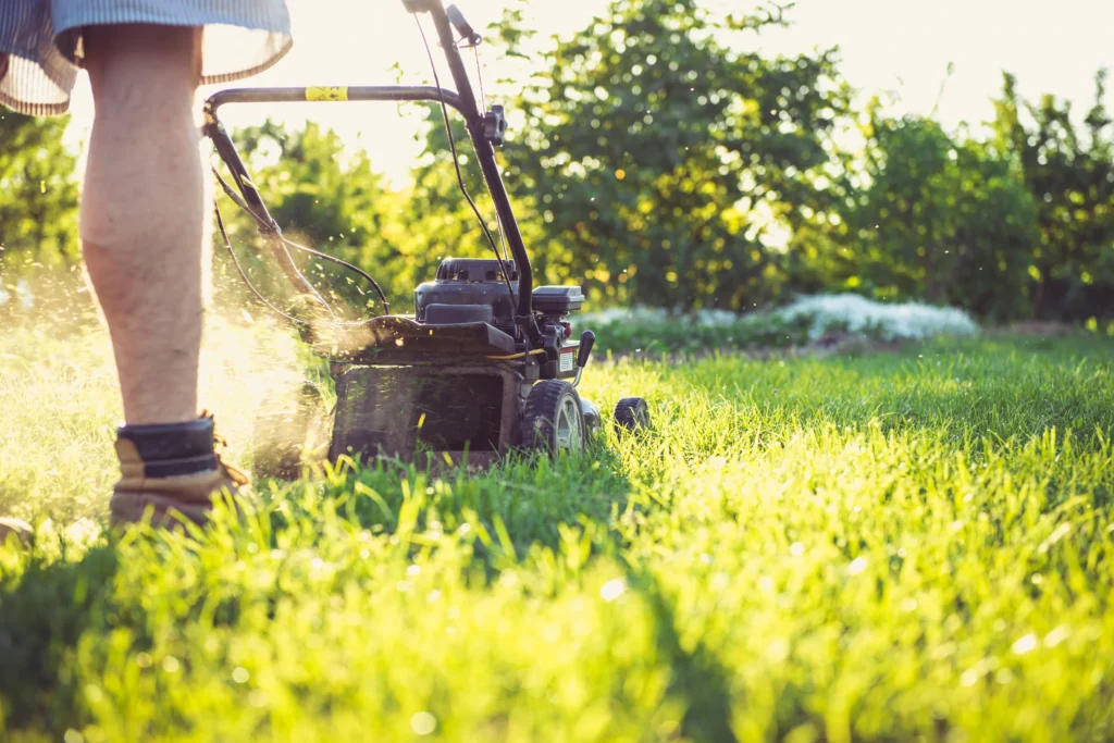 Additional Services for a Landscaping or Lawn Care Business